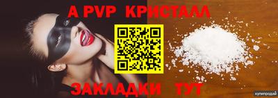 jwh Кингисепп