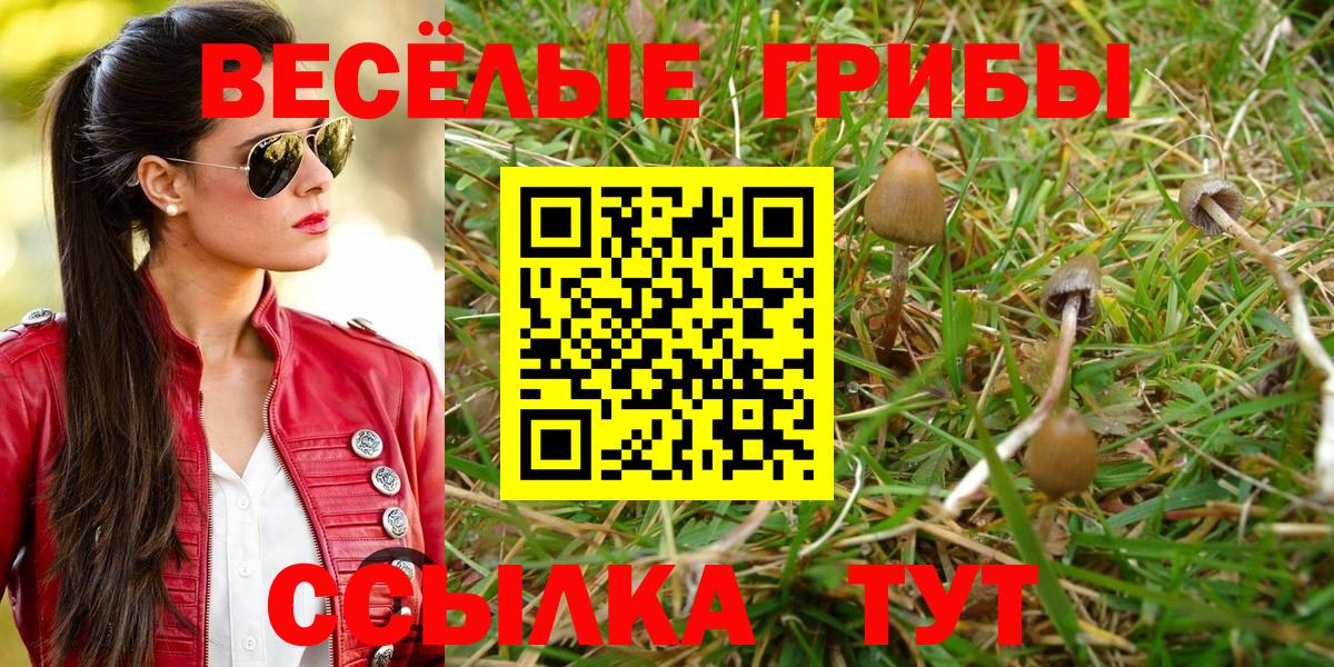 Железногорск  где можно купить   Вход с VPN  Псилоцибиновые грибы MAGIC MUSHROOMS 